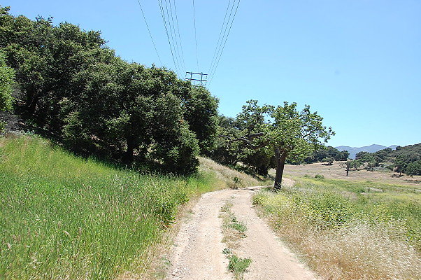DSC 0814