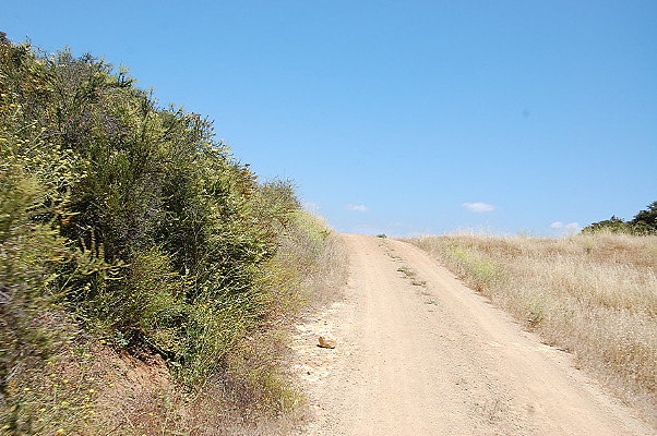 DSC 0787