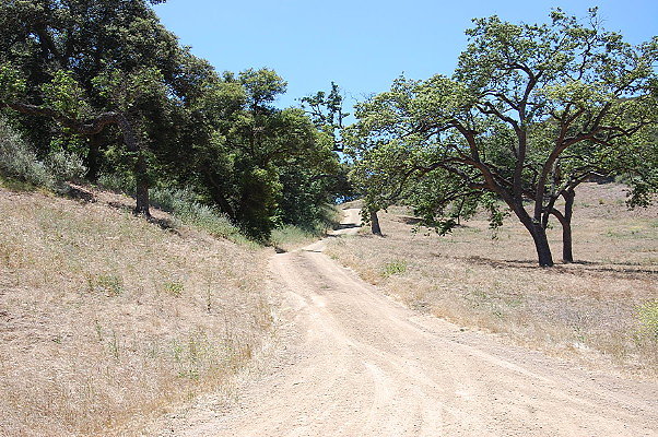 DSC 0712