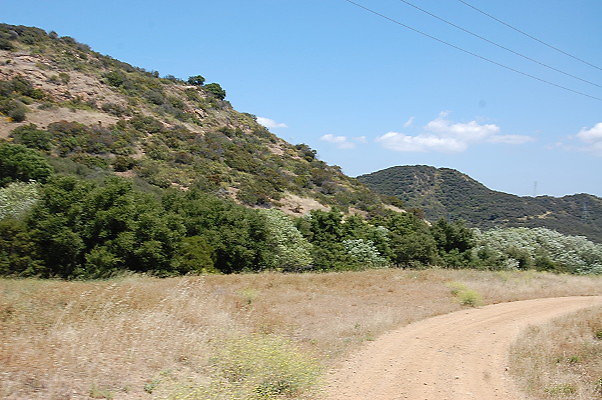 DSC 0794