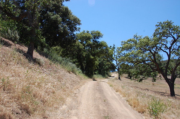 DSC 0821
