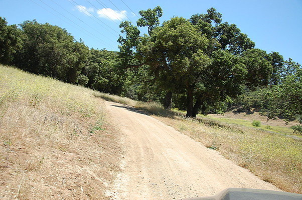 DSC 0817
