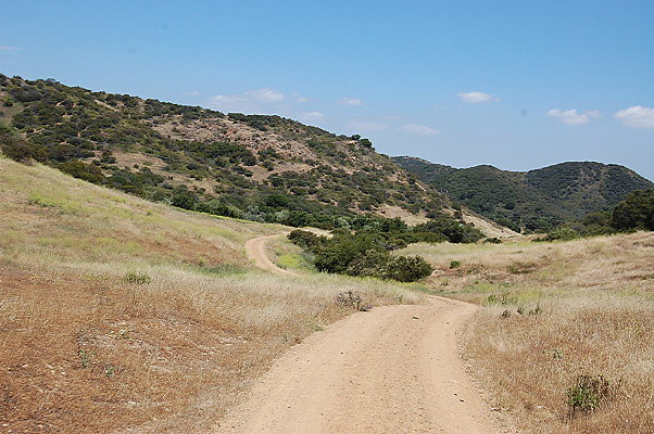DSC 0789