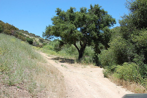 DSC 0807