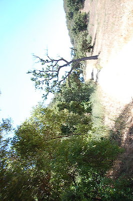DSC 0822