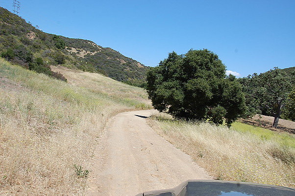DSC 0810