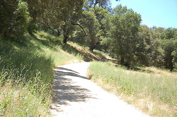 DSC 0703
