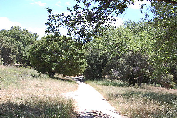 DSC 0651