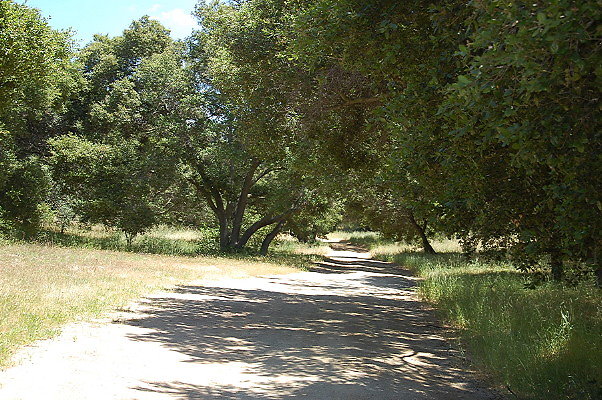 DSC 0653