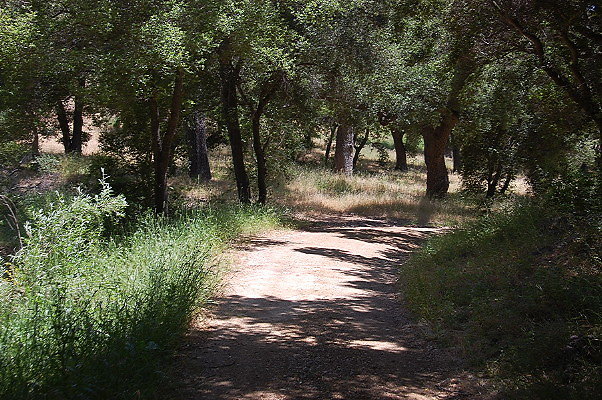 DSC 0674