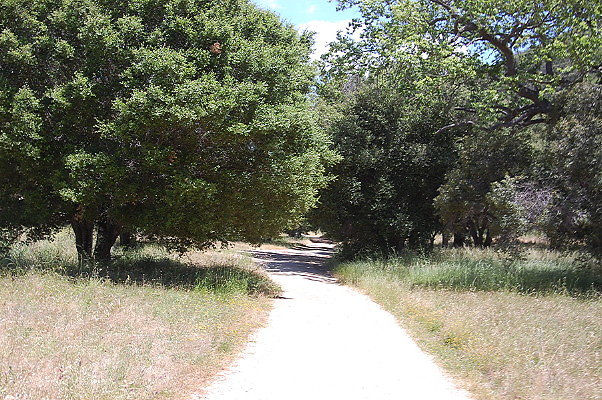 DSC 0652