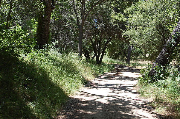 DSC 0702