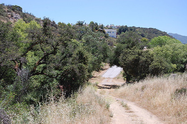 DSC 0681
