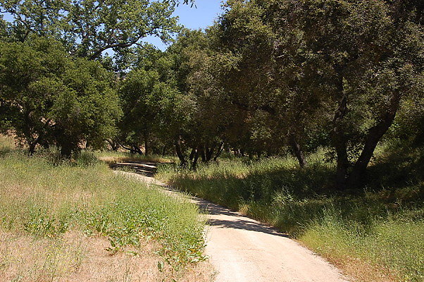 DSC 0658