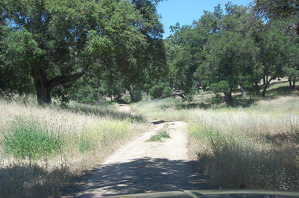 DSC 0687