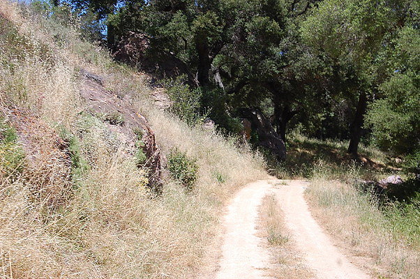 DSC 0683