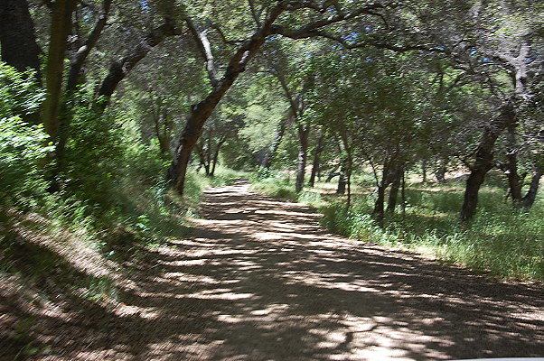 DSC 0701