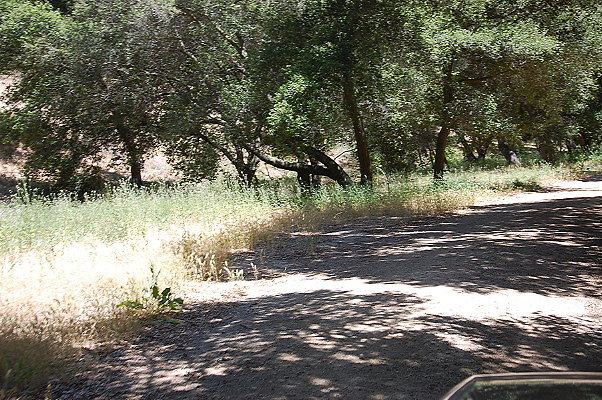 DSC 0660