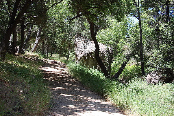 DSC 0690