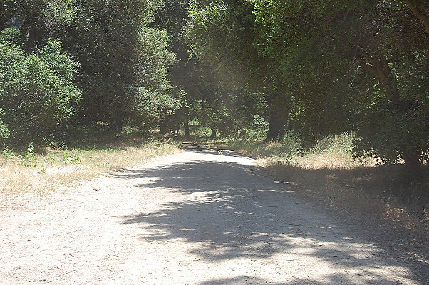 DSC 0649