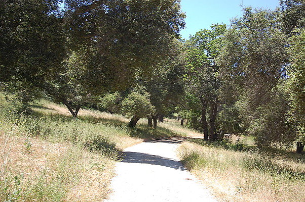 DSC 0704
