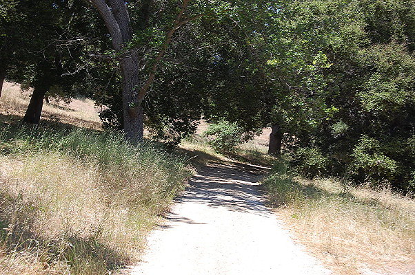 DSC 0707