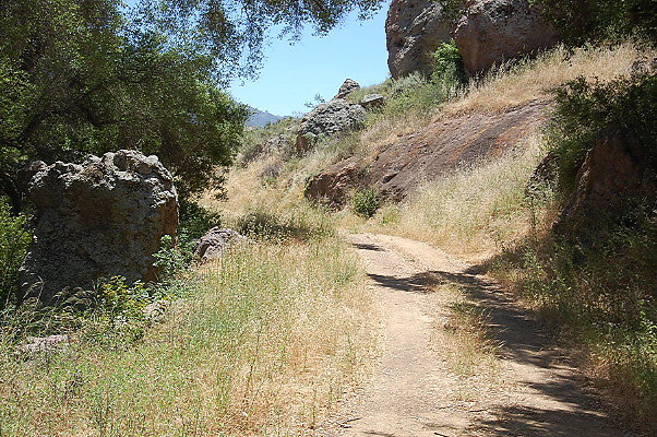 DSC 0680