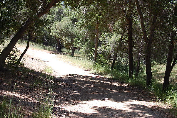 DSC 0692
