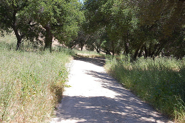 DSC 0659