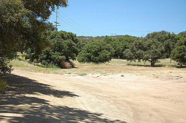 DSC 0709