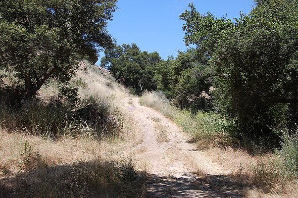 DSC 0682