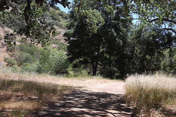 DSC 0679