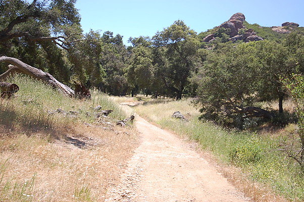 DSC 0675