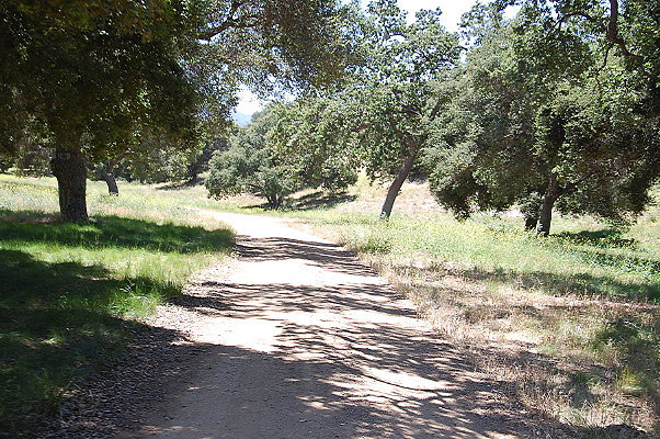 DSC 0750