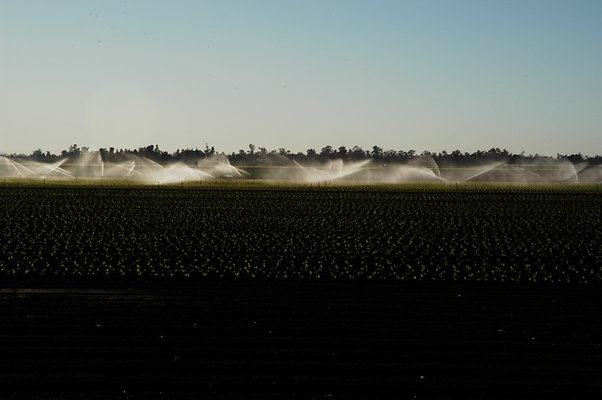 4MILES LPOSAS POV WEST SPRINKLERS.05