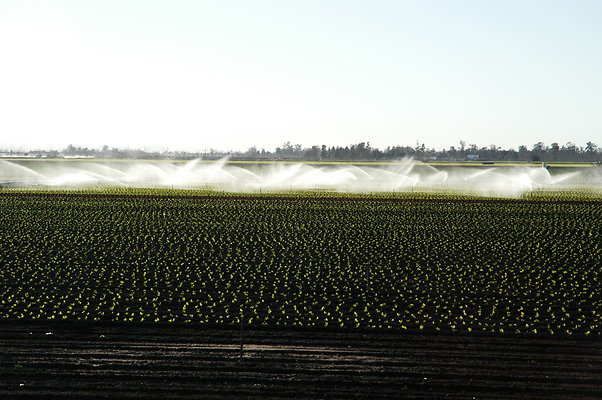 4MILES LPOSAS POV WEST SPRINKLERS.03