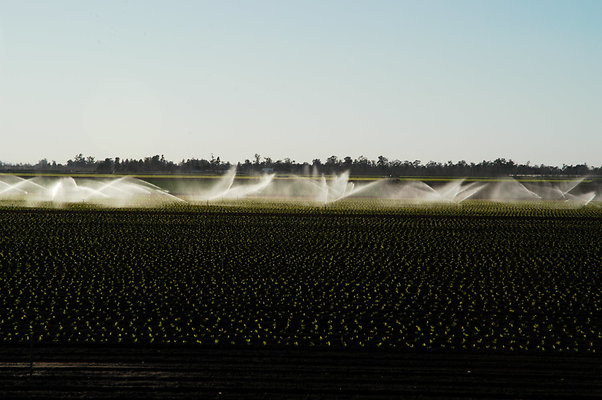 4MILES LPOSAS POV WEST SPRINKLERS.04