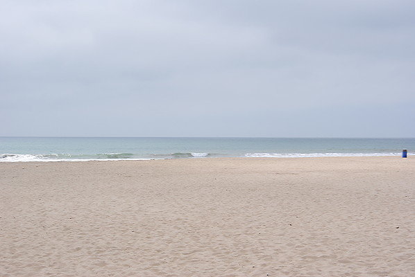 DSC 0224