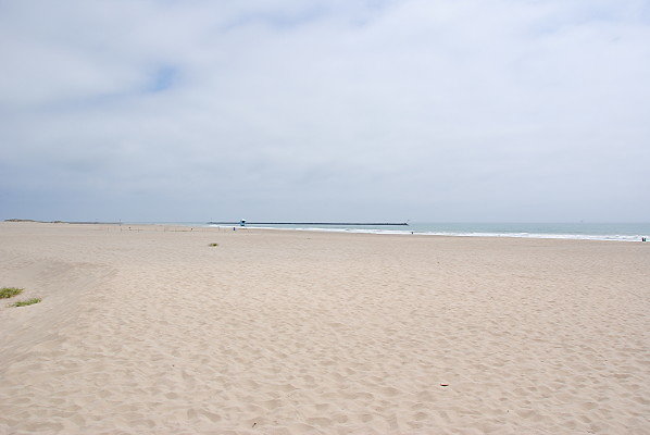 DSC 0219