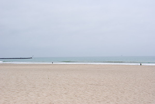 DSC 0222