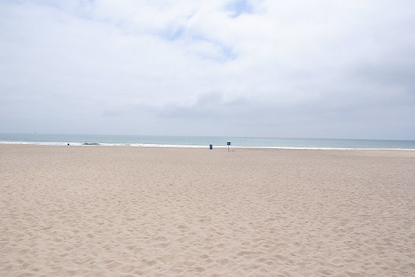 DSC 0220