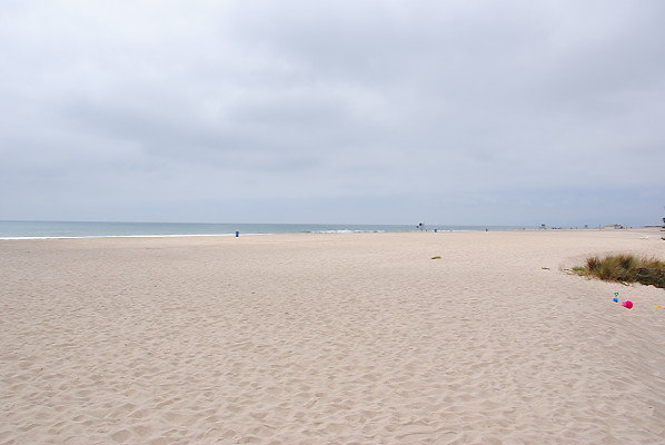 DSC 0221