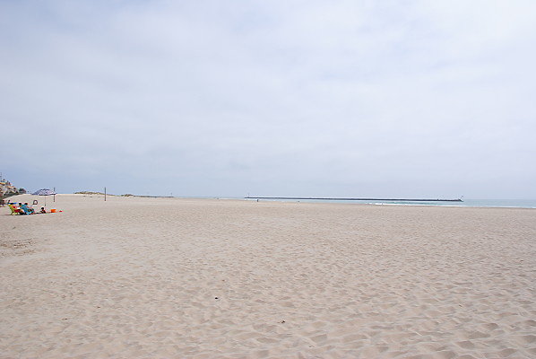 DSC 0241
