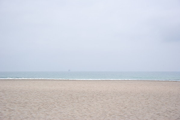 DSC 0244