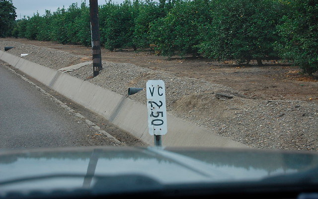 DSC 0069
