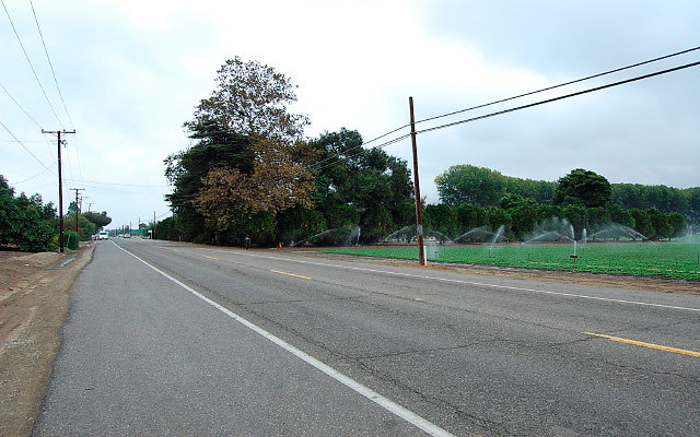 DSC 0061