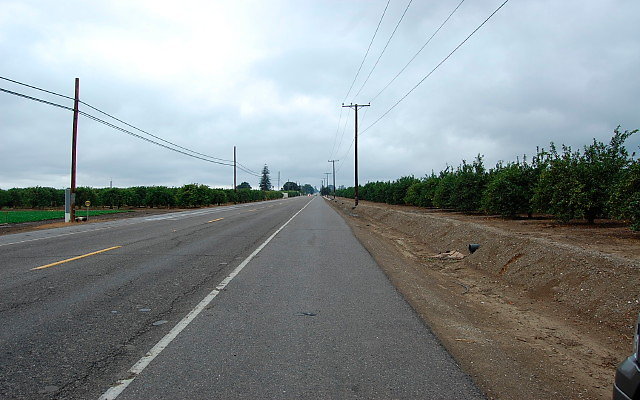 DSC 0064