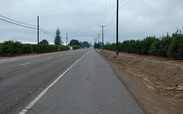 DSC 0065