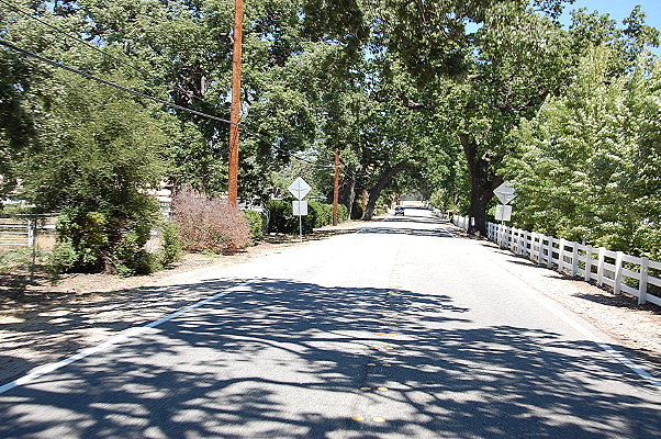 DSC 0953
