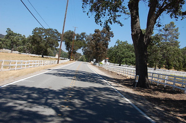 DSC 0959
